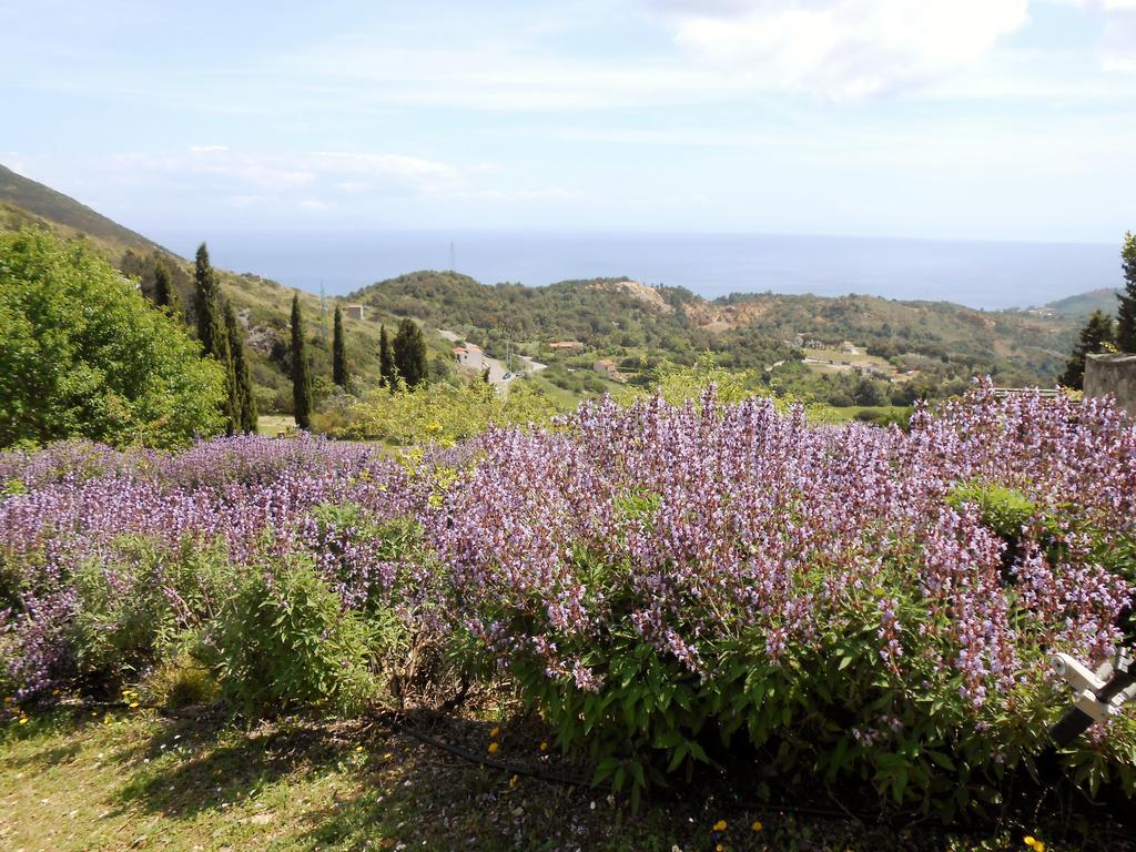 Elbadoc Camping Village Cavo Exterior foto